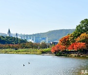 [포토친구] 아름다운 가을 단풍 풍경을 찾아서