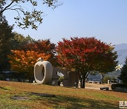 [포토친구] 깊어가는 아트벨리의 가을