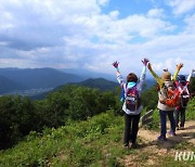 '백패킹 명소' 인제 비봉산 박달고치 숲길 조성사업 준공