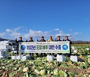 포항 가을배추, 대만 첫 수출길 올라