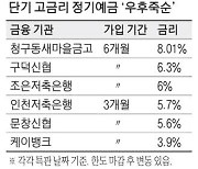 "1년도 길다…또 오를텐데" 6개월 정기예금 상품 인기