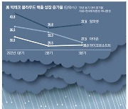 [월가월부] 힘 못쓰는 美 빅테크, 믿었던 클라우드에 발등 찍혔다