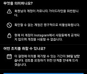 "댓글 달았더니 계정삭제"…카톡 이어 인스타 너마저