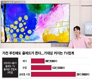 겨울이 따뜻한 올레드TV…유럽 소비자는 월드컵에 지갑 연다