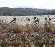 [내일 날씨] 아침 최저 0도 '뚝'… 심한 일교차 '감기 조심'