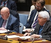 UN Security Council