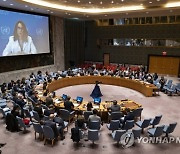 UN Security Council