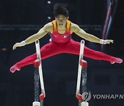 Britain World Gymnastics Championships