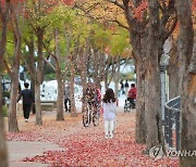 [내일날씨] 전국 대체로 맑음…일교차 15도 이상 '주의'