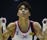 한국 남자 체조, 세계선수권 단체전 결선 진출…파리행 청신호