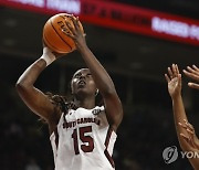 Benedict South Carolina Basketball