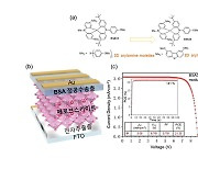 GIST 연구진, 태양전지 신소재 개발…'세계 최고 효율 달성'