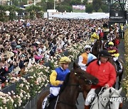 Australia Melbourne Cup Horse Racing