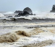 강원기상청, 동해안 맞춤형 파도 넘침 정보 서비스 제공