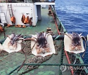 US-China Fishing Confrontation