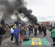 Brazil Elections