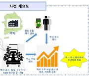 내부정보 이용 3.3억 챙긴 상장사 직원들 무더기 재판행