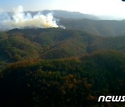 안동시 길안면 야산에 불…1시간 만에 큰 불길 잡혀