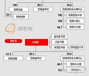 한화, 내년 3월까지 지배구조 전환 마무리