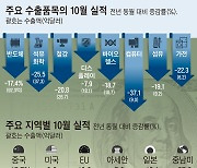 수출 버팀목 반도체 -17%… 對中수출도 5월째 감소