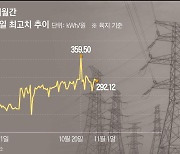 치솟는 전력도매가격… 값 상한제 도입 서두르는 정부