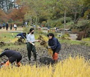 천리포수목원 지역 초등학교와 추수 행사, 축소 진행