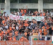 ‘떠나는 이영표·김호곤’ 정치 외풍에 맞선 축구팬들