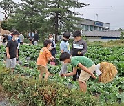 “맘껏 뛰어 노니 즐겁다”…전북교육청 농촌유학 만족도 높아