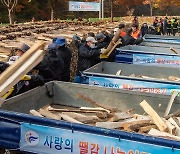 숲 가꾸기 하며 쌓인 폐 잡목이 어려운 이들 덥히는 땔감으로