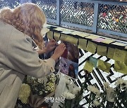 “시위 속 핼러윈은 그에게 탈출구”…자유 찾아 한국 온 이란인 유학생의 ‘55일 서울살이’ 안타까운 참변