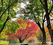 [포토친구] 울긋불긋 아름다운 계절 가을