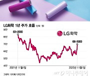 "LG엔솔 기다려!..나도 이차전지다" LG화학 11% '불기둥'