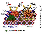 전남대 나경수 교수팀, 이산화탄소 자원화 가능한 촉매 개발