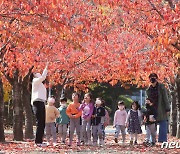 "행사·축제로 확진자 수 늘었다"… 위험도 6주 만에 '중간'으로 상향