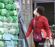 "김장철 배춧값 작년보다 싸고, 마늘·건고추 등 양념류 비쌀 듯"