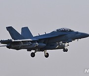 착륙하는 전자전공격기 EA-18G 그라울러