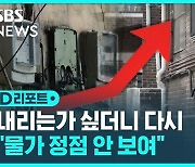 [D리포트] 다시 오른 물가…내년 1분기까지 5%대