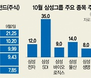 "반등장에 믿을 株님들"···'삼성 삼총사' 쓸어담은 이것은