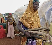 Somalia Drought Russia Ukraine War Grain