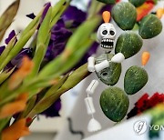 White House Dia De Los Muertos