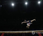 Britain World Gymnastics Championships