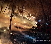 봄철 대형산불 겪은 동해시, 가을철 산불방지 '총력' 대응