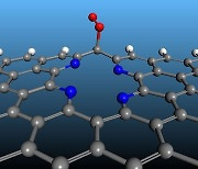 UNIST "전기화학 반응 촉진하는 탄소 기반 촉매 원리 규명"
