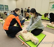 제주안전체험관 심폐소생술 교육