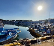 동해안 최북단 대진항 어선들