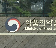 식약처 "마약 관리 컨트롤타워 필요…마약안전기획관이 맡아야"