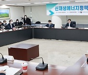 제1차 신재생에너지정책심의회