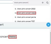 '엉망진창'이 연관검색어?…팬도 실망한 블랙핑크 콘서트, 어땠길래