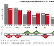 찬바람 부는 中 스마트폰 시장, 애플만 '표정관리'