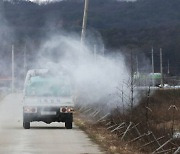 청주 육용오리 농장서 AI 검출…고병원성 여부 검사 중